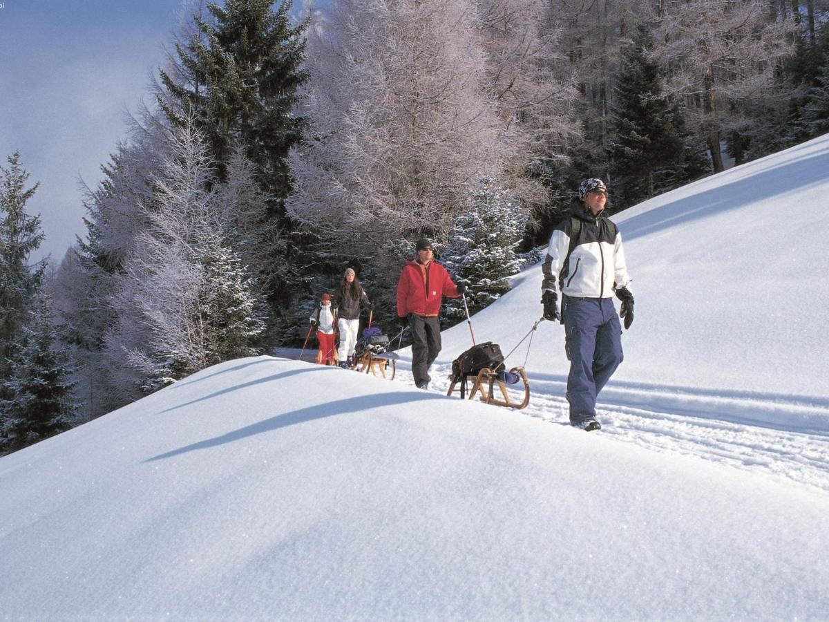 Apartment In Hopfgarten Brixental Near Ski Lift Hopfgarten im Brixental Dış mekan fotoğraf