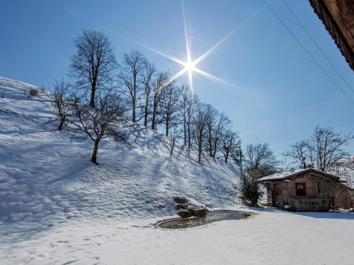 Apartment In Hopfgarten Brixental Near Ski Lift Hopfgarten im Brixental Dış mekan fotoğraf